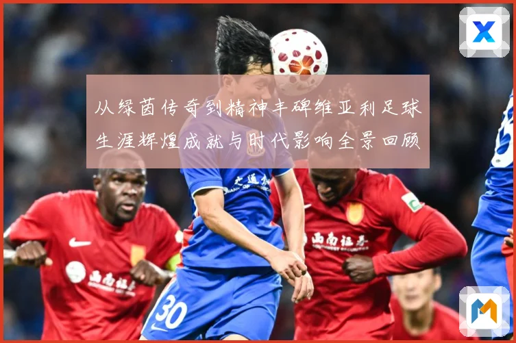 从绿茵传奇到精神丰碑维亚利足球生涯辉煌成就与时代影响全景回顾