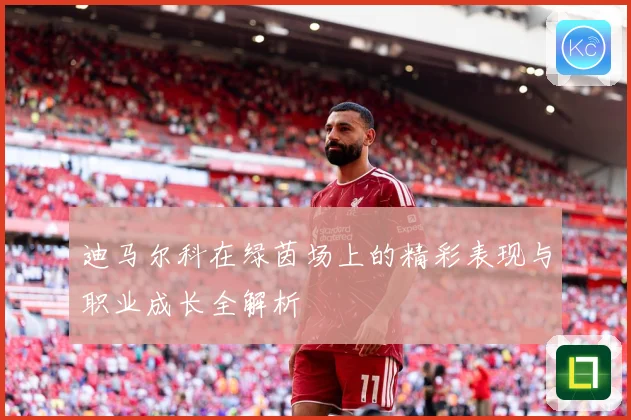 迪马尔科在绿茵场上的精彩表现与职业成长全解析