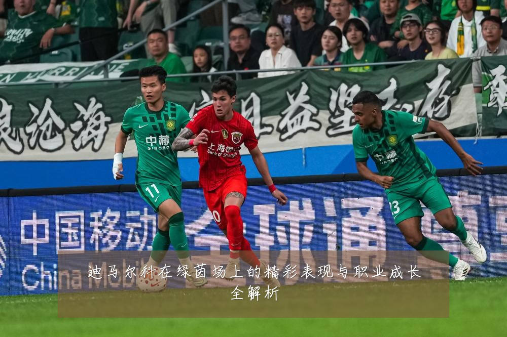 迪马尔科在绿茵场上的精彩表现与职业成长全解析